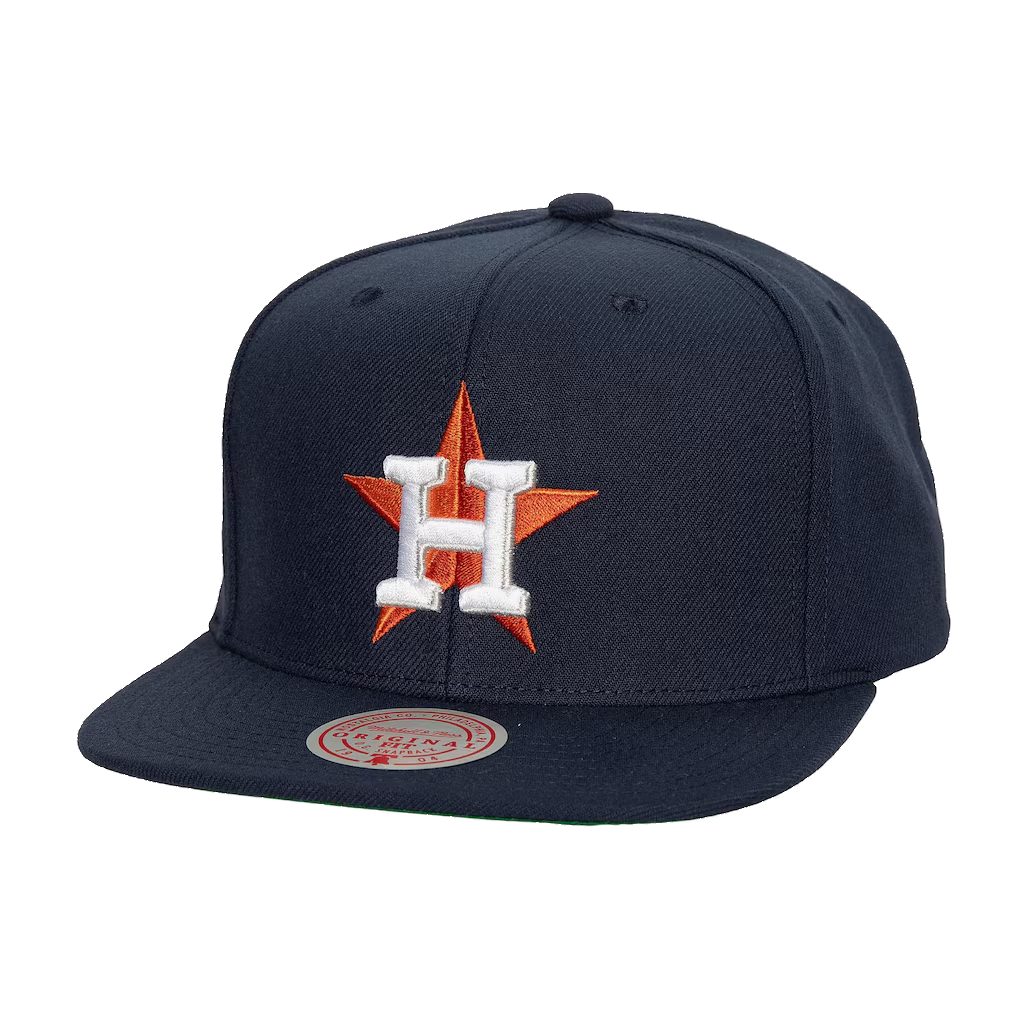HOUSTON ASTROS