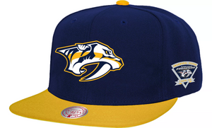 NASHVILLE PREDATORS