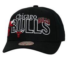 CHICAGO BULLS