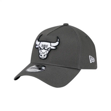 CHICAGO BULLS