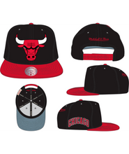 CHICAGO BULLS