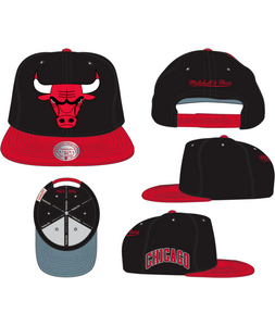 CHICAGO BULLS