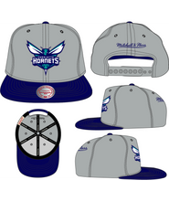 CHARLOTTE HORNETS