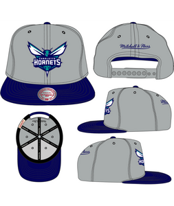 CHARLOTTE HORNETS