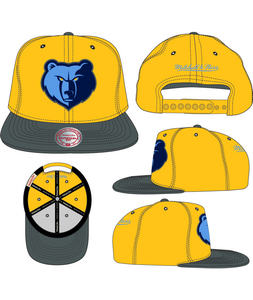 MEMPHIS GRIZZLIES