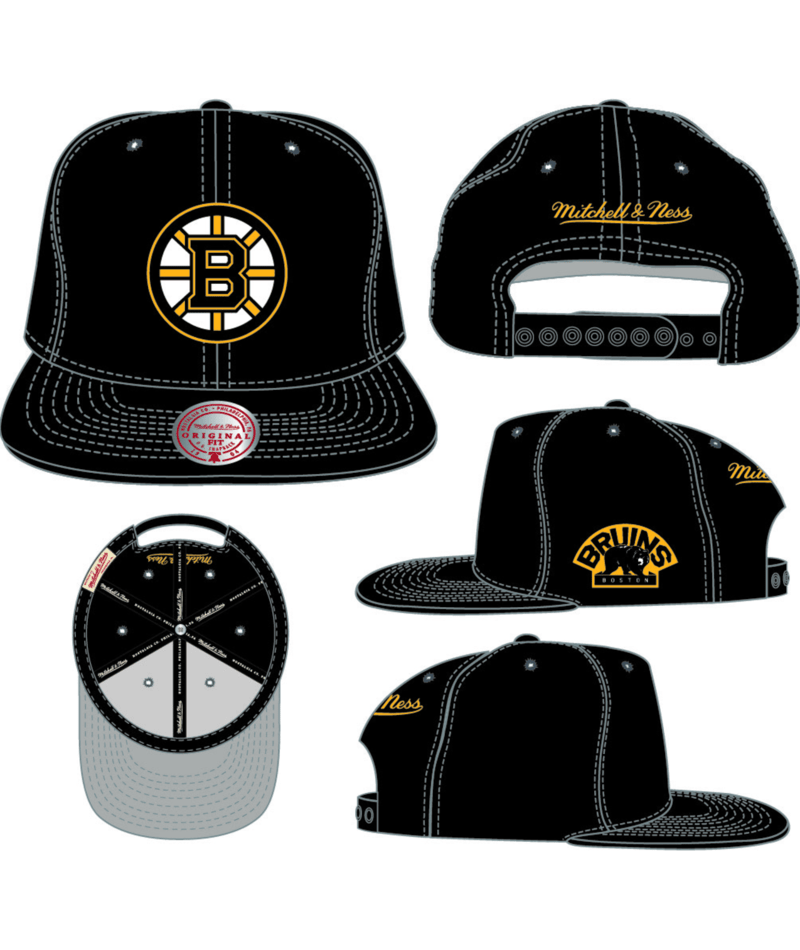 BOSTON BRUINS