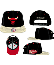 CHICAGO BULLS