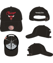 CHICAGO BULLS