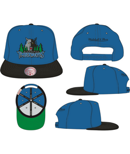 MINNESOTA TIMBERWOLVES
