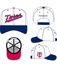 MINNESOTA TWINS