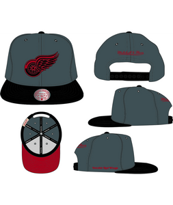 DETROIT RED WINGS