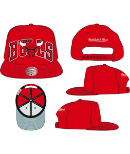 CHICAGO BULLS