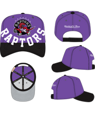TORONTO RAPTORS