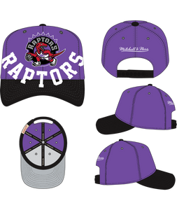 TORONTO RAPTORS