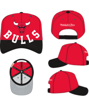 CHICAGO BULLS