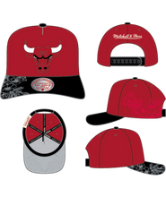 CHICAGO BULLS