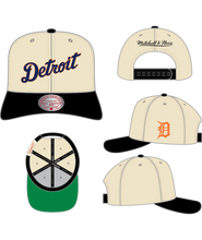 DETROIT TIGERS