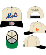 NEW YORK METS