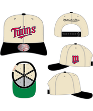 MINNESOTA TWINS