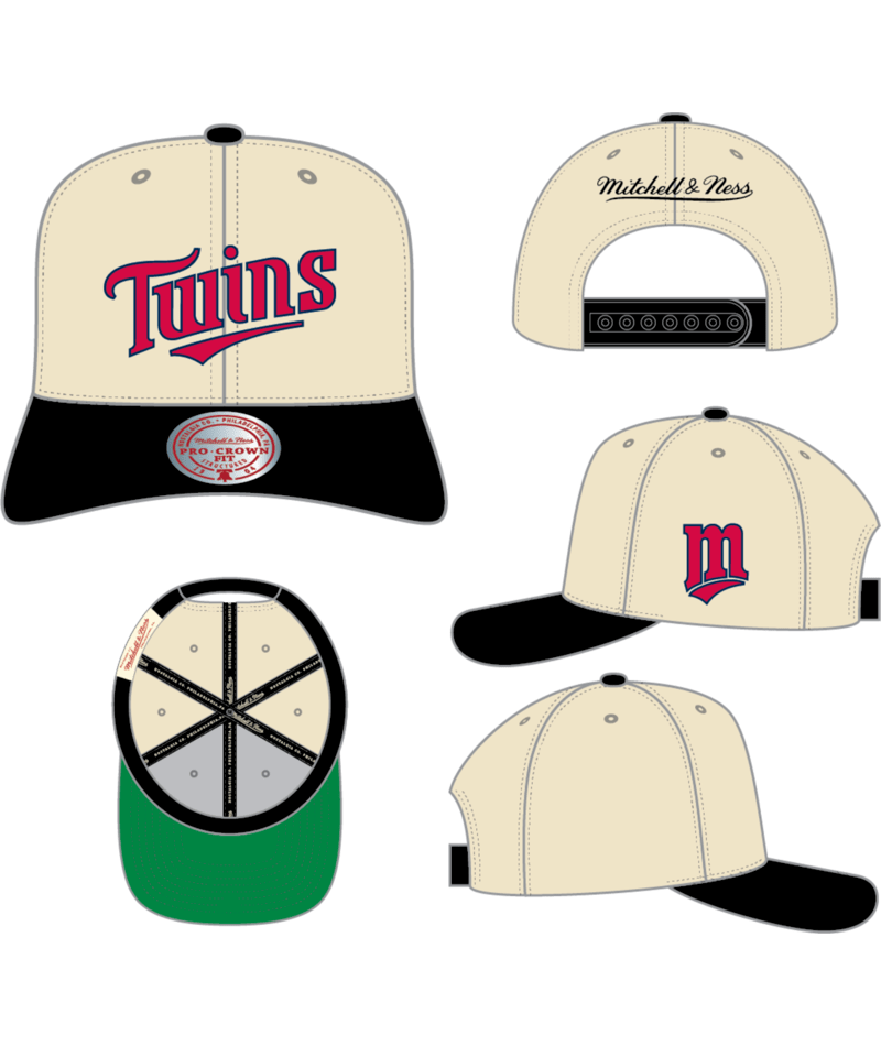 MINNESOTA TWINS