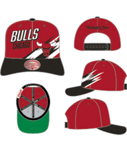 CHICAGO BULLS