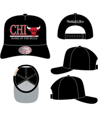 CHICAGO BULLS