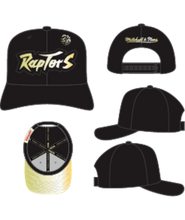 TORONTO RAPTORS