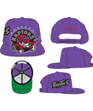 TORONTO RAPTORS