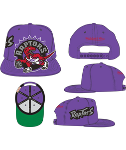 TORONTO RAPTORS