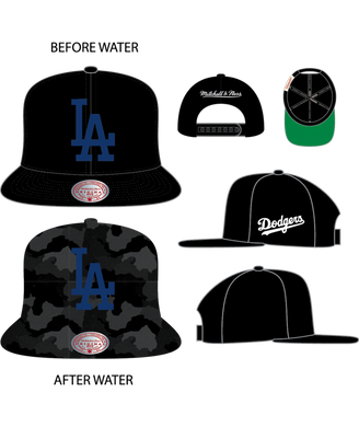 LOS ANGELES DODGERS