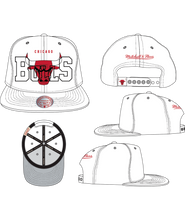 CHICAGO BULLS
