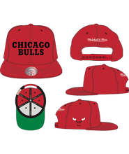 CHICAGO BULLS