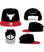 CHICAGO BULLS