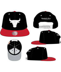CHICAGO BULLS
