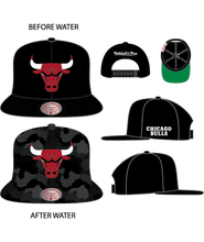 CHICAGO BULLS
