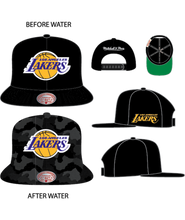 LOS ANGELES LAKERS