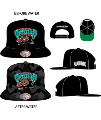 VANCOUVER GRIZZLIES