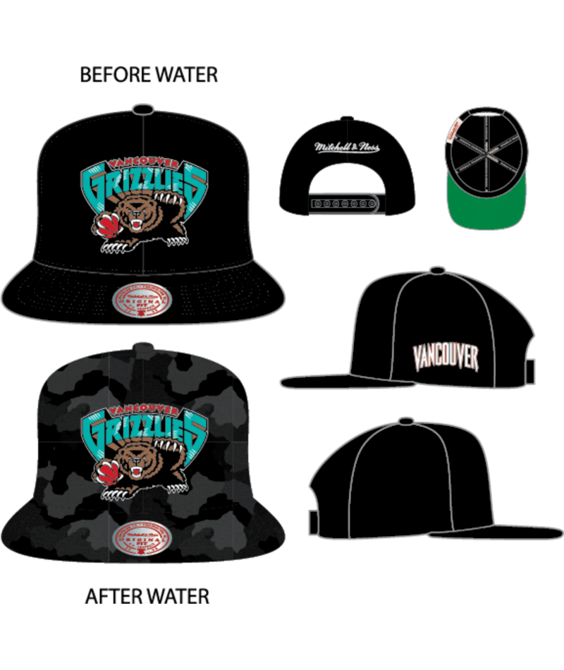 VANCOUVER GRIZZLIES