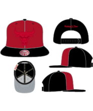 CHICAGO BULLS