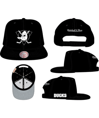 ANAHEIM DUCKS