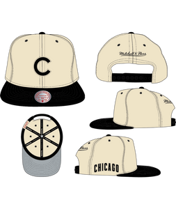 CHICAGO CUBS