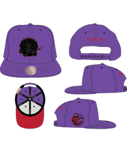 TORONTO RAPTORS