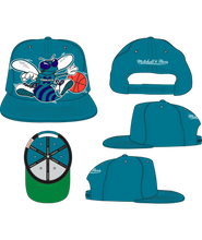 CHARLOTTE HORNETS