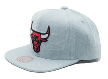 CHICAGO BULLS