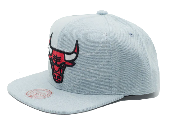 CHICAGO BULLS