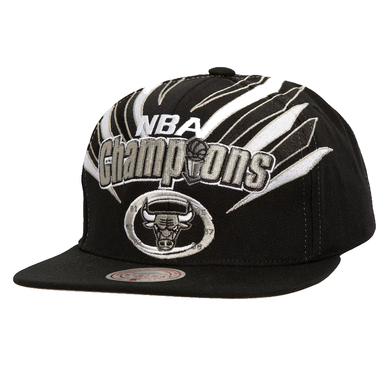 CHICAGO BULLS