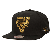 CHICAGO BULLS