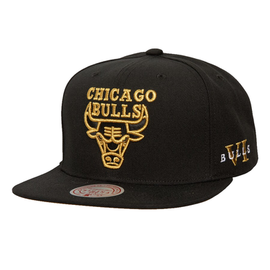 CHICAGO BULLS