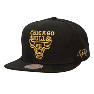 CHICAGO BULLS