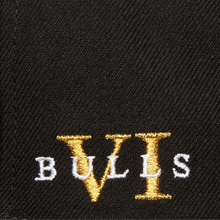 CHICAGO BULLS